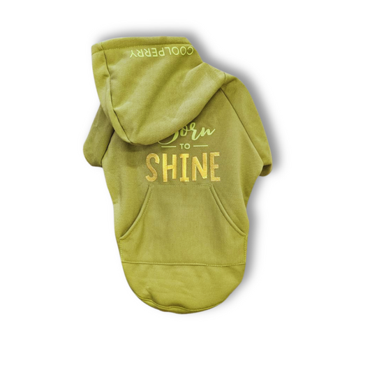 Sudadera Born To Shine Verde Pistache Para Perrito
