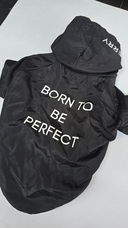 Chamarra Born To Be Perfect Negra Para Perrito