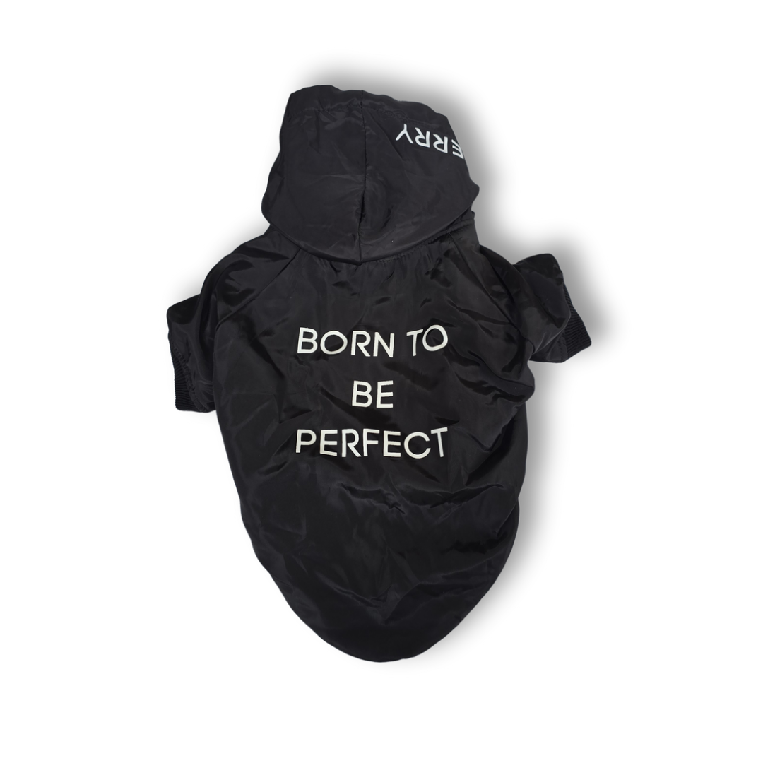 Chamarra Born To Be Perfect Negra Para Perrito
