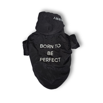 Chamarra Born To Be Perfect Negra Para Perrito