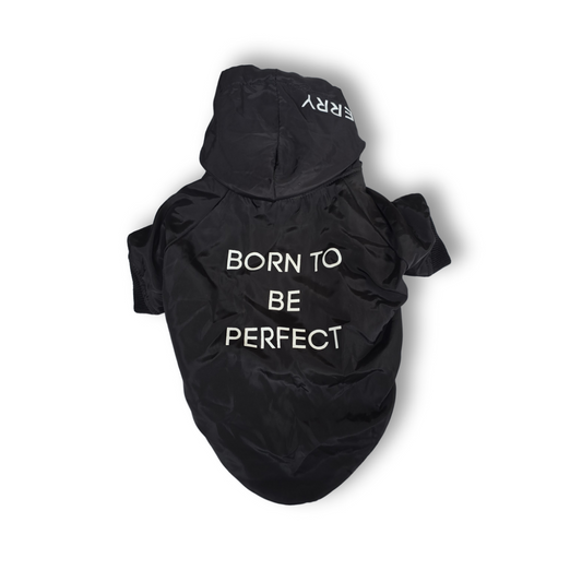 Chamarra Born To Be Perfect Negra Para Perrito